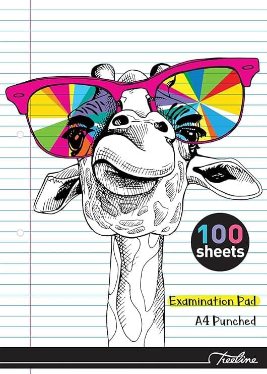 100 PG A4 EXAM PAD