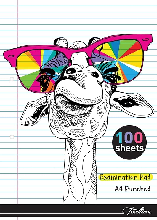 100 PG A4 EXAM PAD